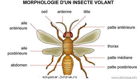 aici se pun pozele pline de rautate pozele urate si